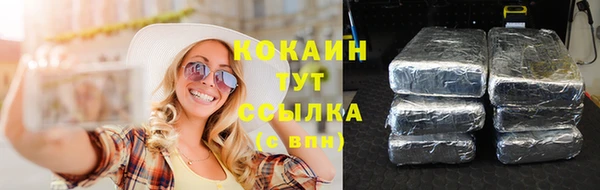 ПСИЛОЦИБИНОВЫЕ ГРИБЫ Заволжск