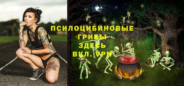 ПСИЛОЦИБИНОВЫЕ ГРИБЫ Заволжск