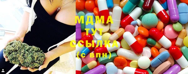мдпв Дмитров