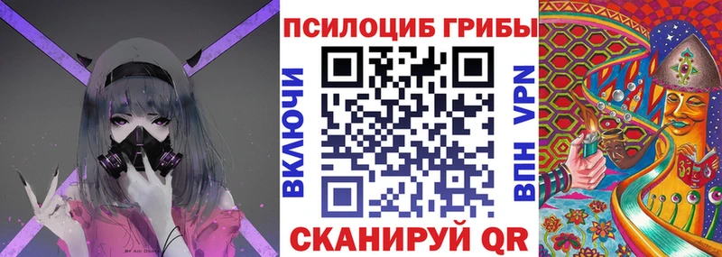 Псилоцибиновые грибы мицелий  mega как войти  Шлиссельбург 